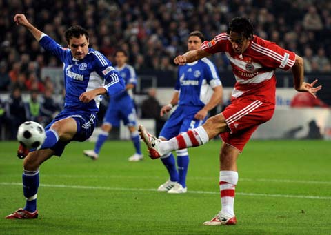 仅反映了目 仅反映了目